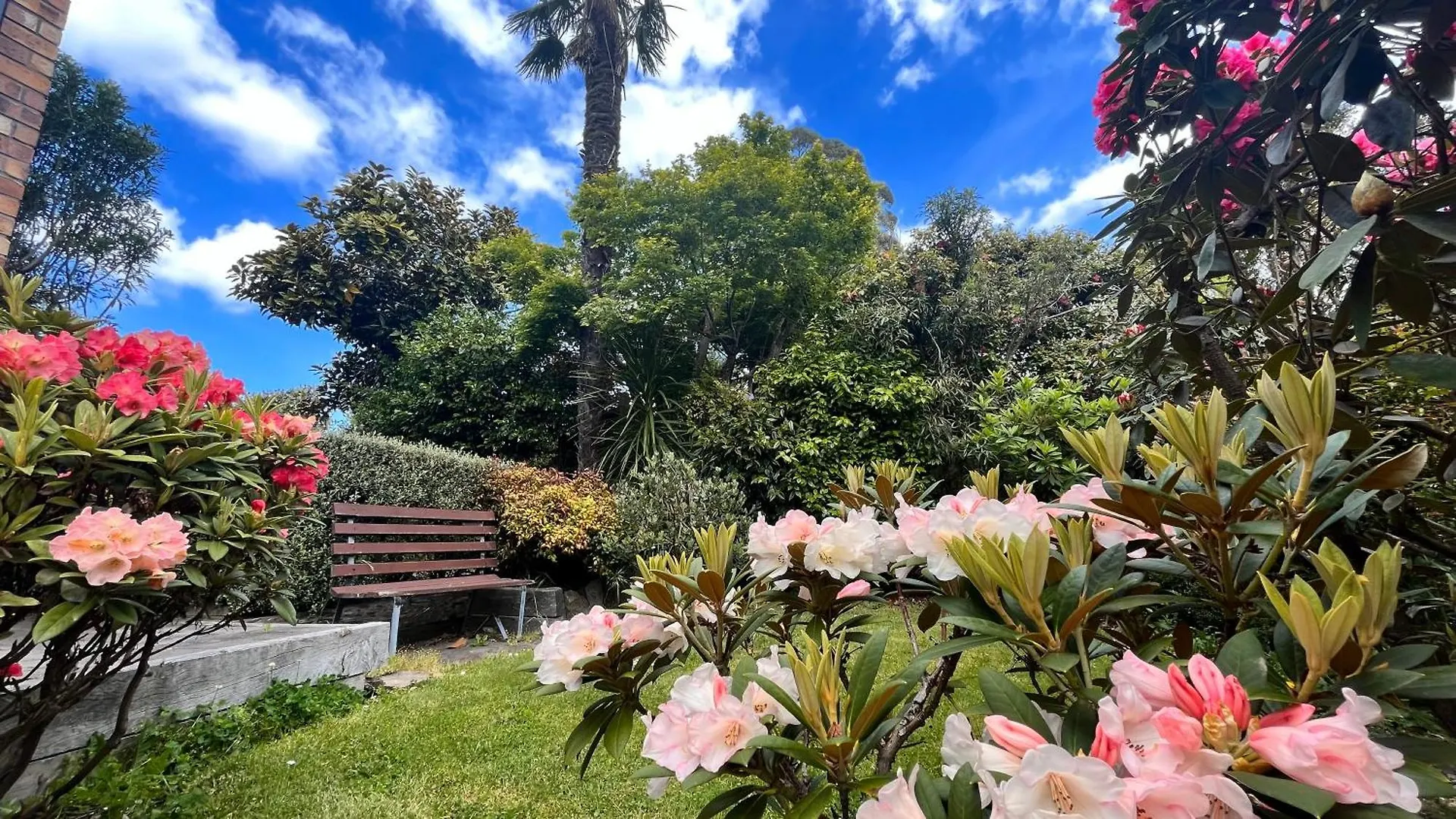 Waimairi Road - Christchurch Holiday Homes 0*,  新西兰